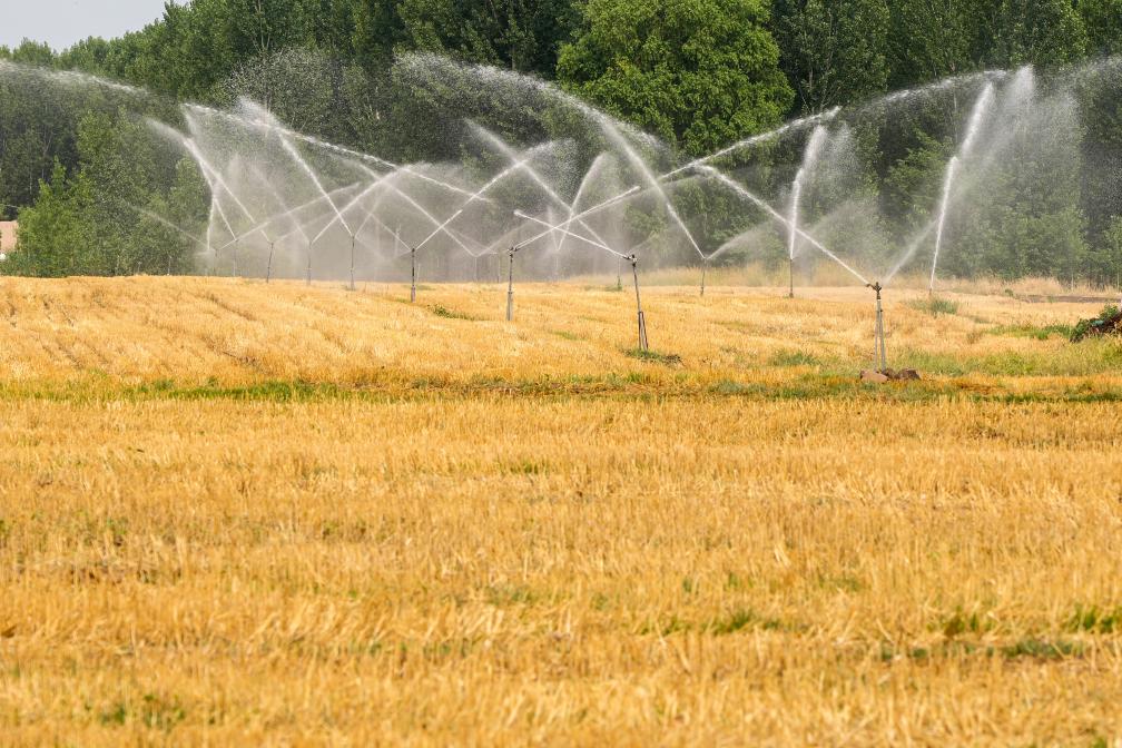 6月20日，农业部门可以精准预测小麦最佳收获期，</p><p style=