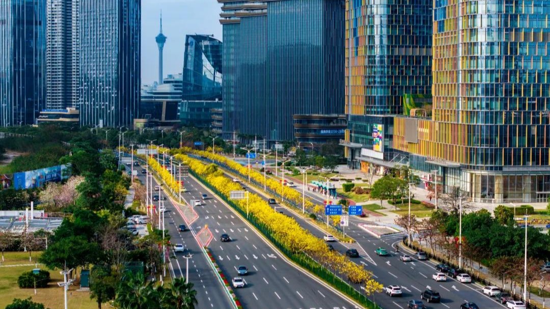 Valor total de exportações e importações de Hengqin ultrapassa 300 mil milhões de yuans na década de livre comércio