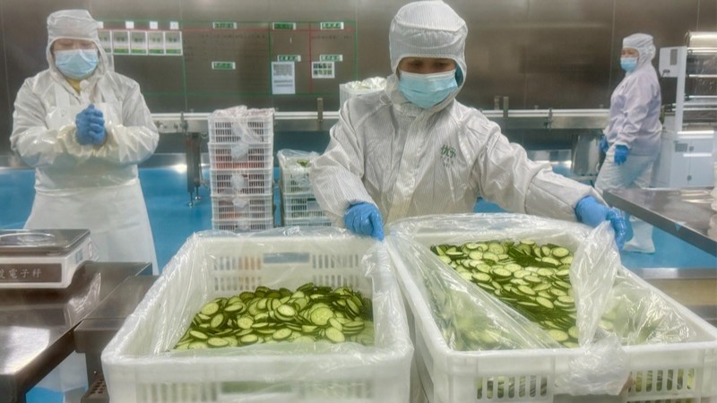高质量发展中国行丨一份蔬菜沙拉如何联通湾区“民生厨房”？