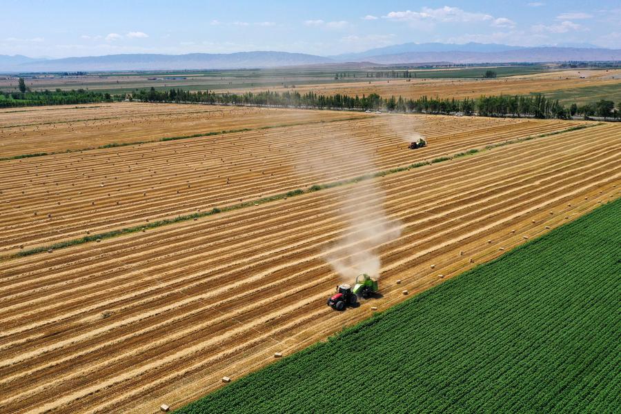 China's New Quality Agricultural Productive Forces To Be Fully 