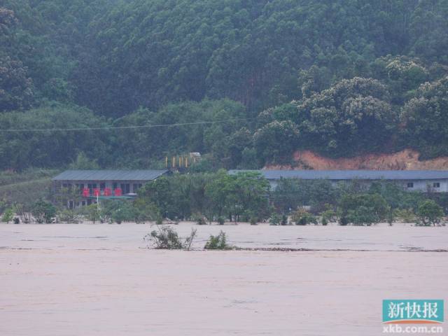 浑浊的江面不仅漫过了部分沿岸设施，还淹到了江对面的一些房屋。