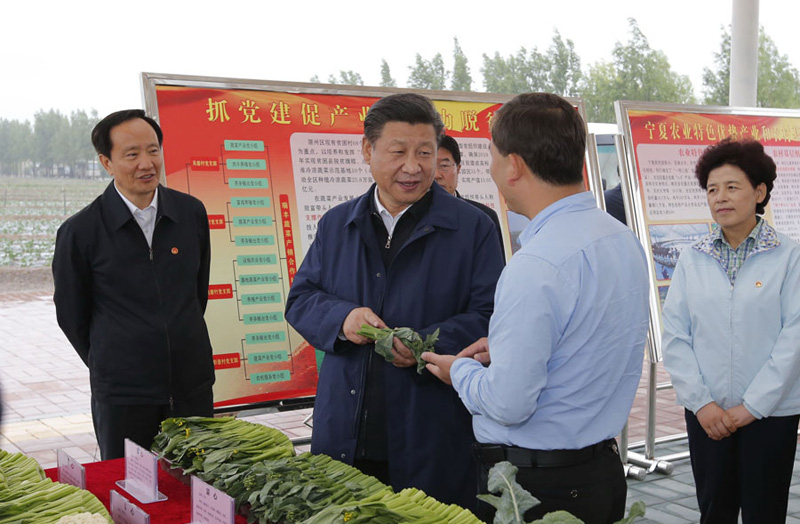 这是7月18日下午，习近平在固原市原州区彭堡镇姚磨村了解冷凉蔬菜种植销售情况。新华社记者鞠鹏摄