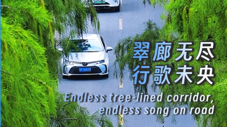 Endless tree-lined corridor, endless song on road
