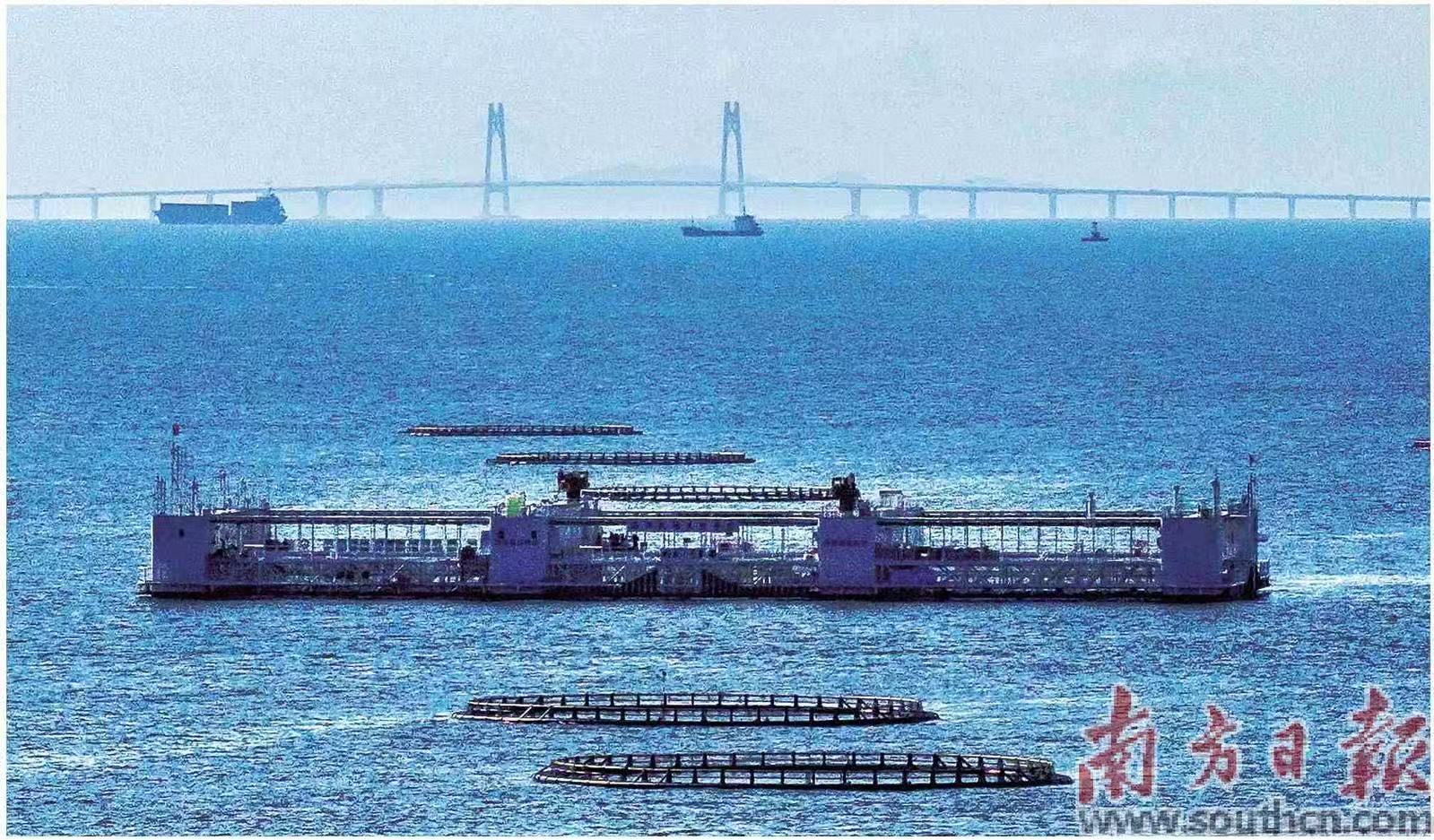 广东促进了努力