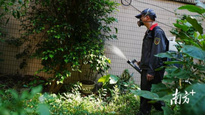 Guangzhou to conduct citywide mosquito control operations in two daily sessions