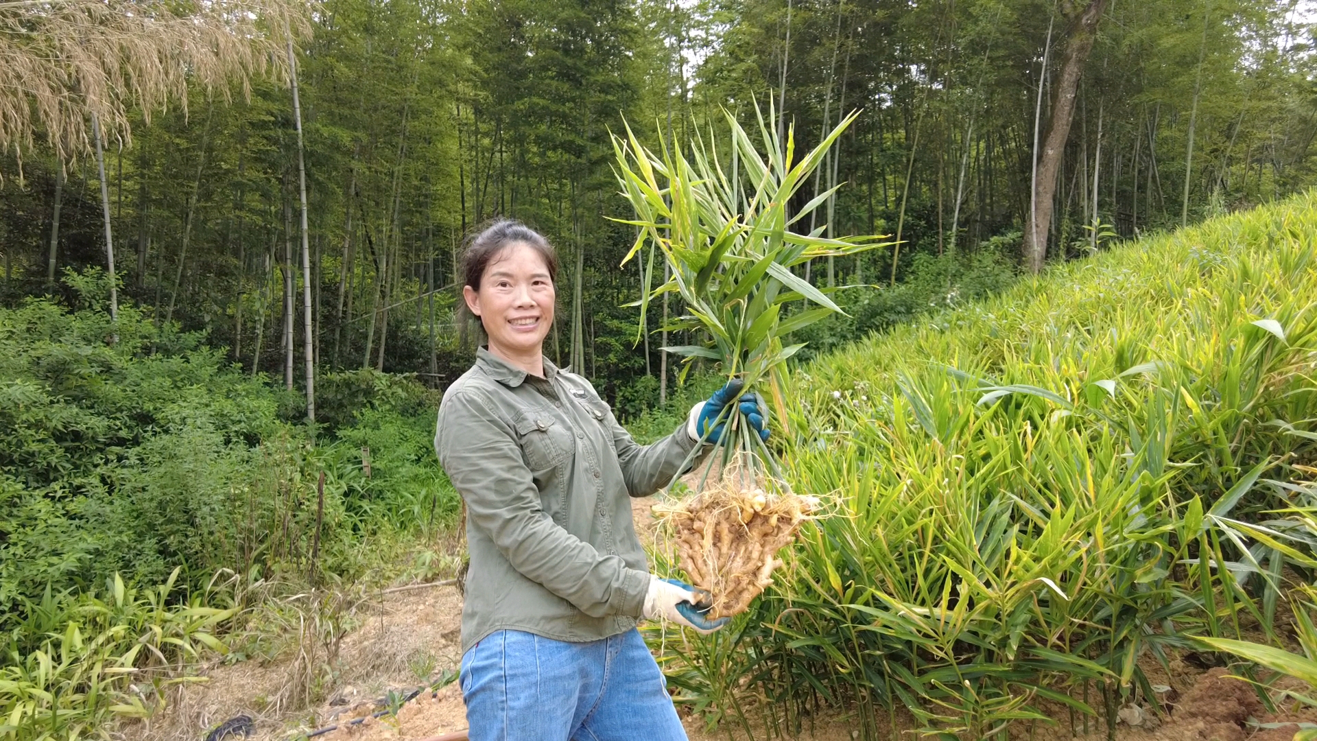 Guangdong female loan program supports 1.58 mln women in entrepreneurship and employment