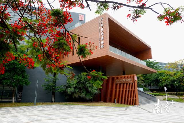 东莞松山湖望野博物馆。
