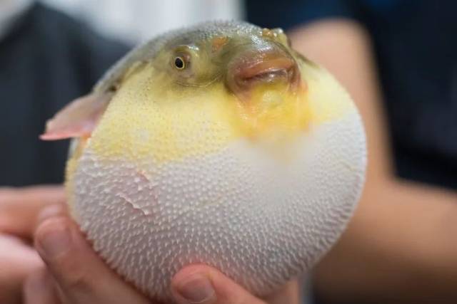 Attention! Beware of these 9 contagious diseases in May