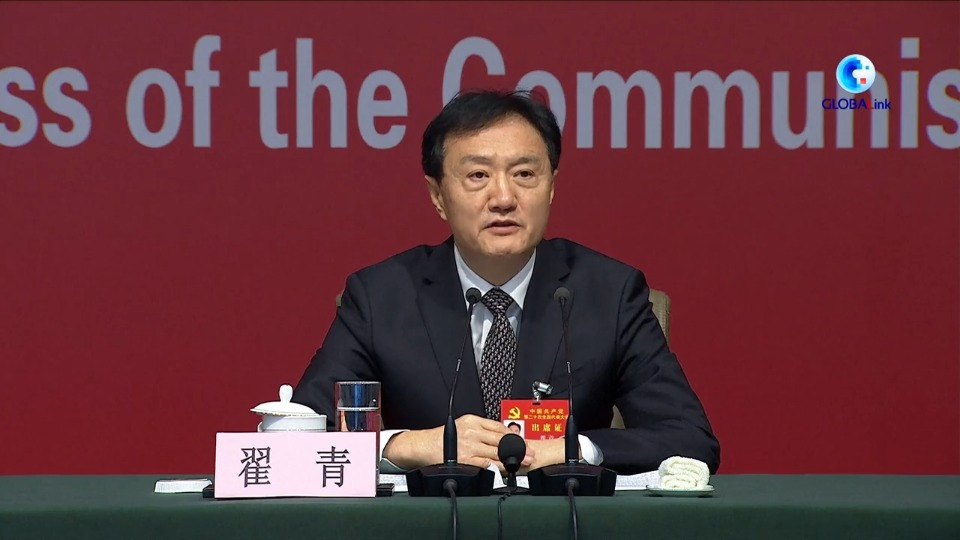 China makes significant strides in building a beautiful China: official