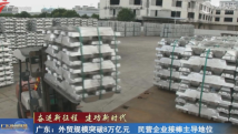 【奋进新征程 建功新时代】广东:外贸规模突破8万亿元 民营企业接棒主导地位 【奋进新征程 建功新时代】广东:外贸规模突破8万亿元 民营企业接棒主导地位