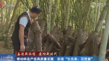 【奋进新征程 建功新时代】推动林业产业高质量发展 实现“生态美、百姓富” 【奋进新征程 建功新时代】推动林业产业高质量发展 实现“生态美、百姓富”