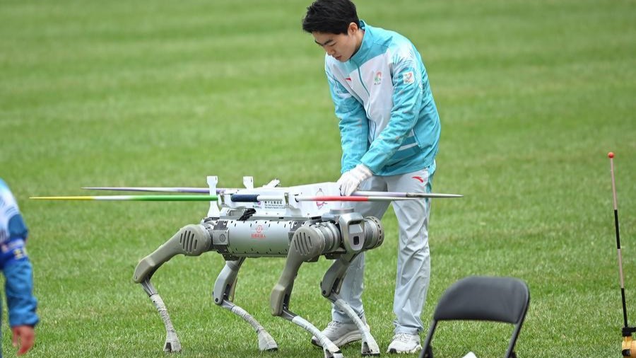 这届全运会，“科技+体育”玩出新花样