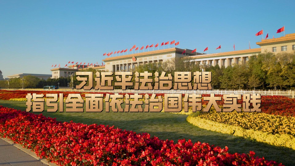 时习之丨习近平法治思想指引全面依法治国伟大实践