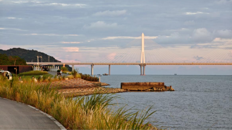 Hengqin National Wetland Park reopens after upgrades