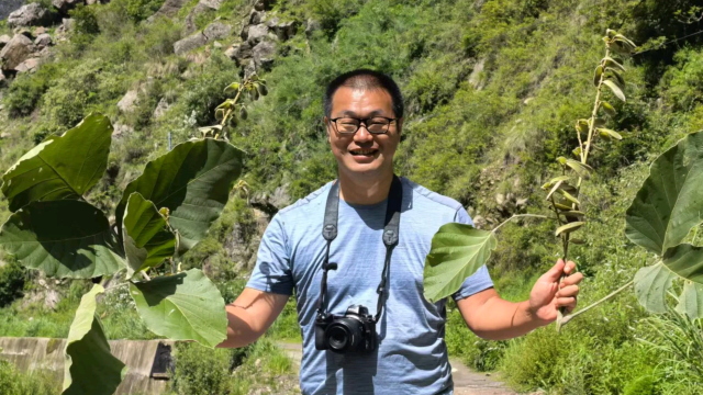 The plant chaser | National Ecology Day