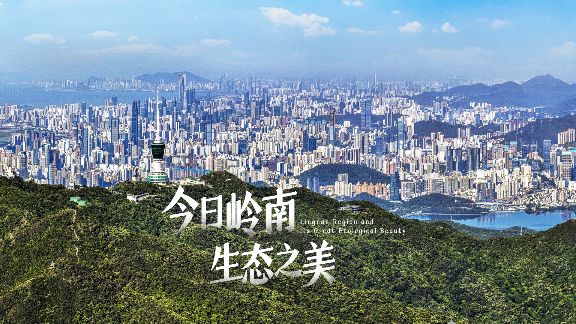 Video | Lingnan region and its great ecological beauty