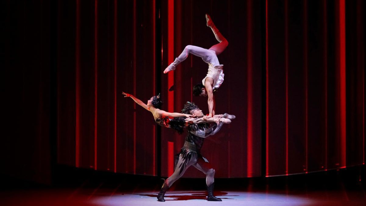 Chinese acrobatic show Swan makes international debut in Moscow