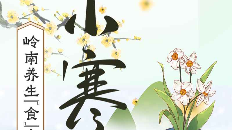 藏阳暖身有门道！广东省名中医带你解锁小寒食疗密码｜岭南养生食令记