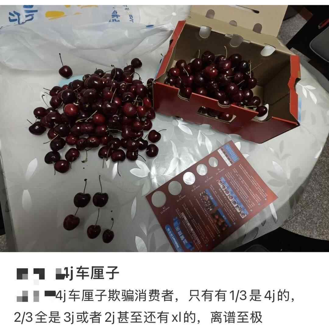图由受访者提供