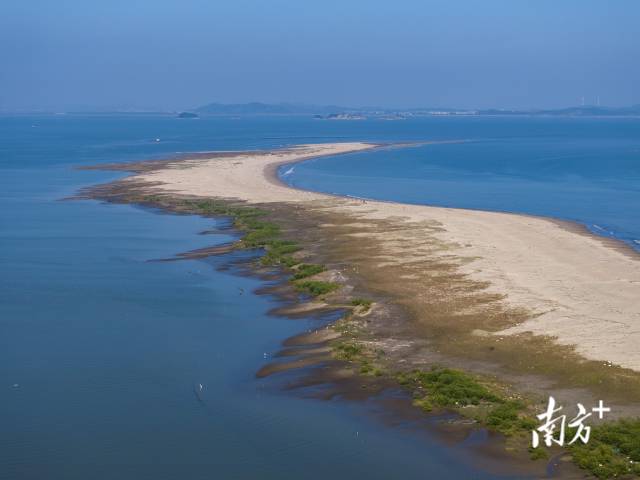 汕头培隆沙滩延伸向远方，为候鸟提供了大面积栖息地。