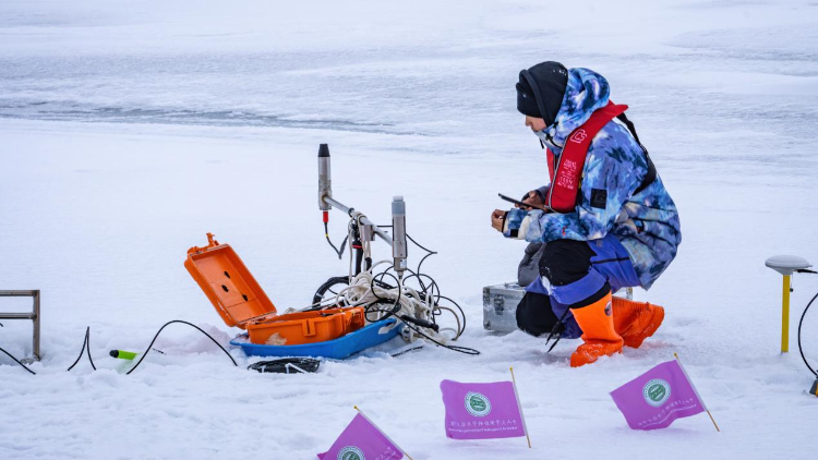 北极归来，“中山大学极地”号带回了什么？
