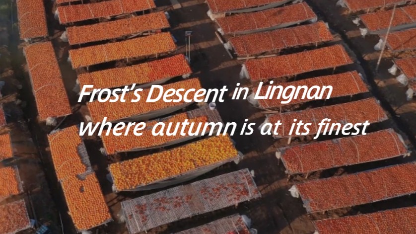 Frost's Descent in Lingnan, where autumn is at its finest