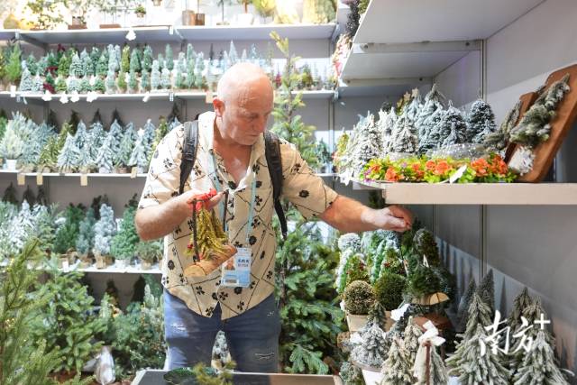 南方+ 钟志辉 拍摄