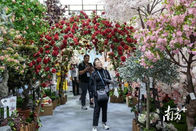 南方+ 钟志辉 拍摄