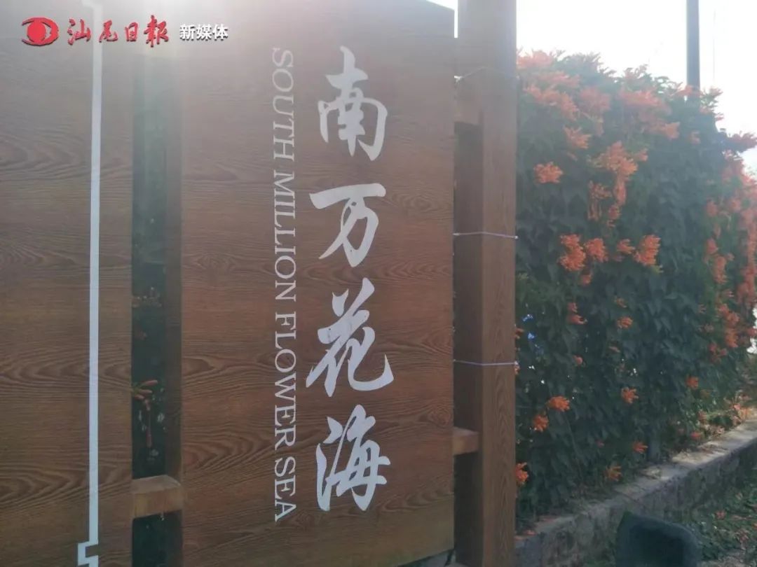 （资料图）