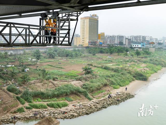 　　1月30日，在广茂线西江特大桥上，铁路桥梁工对桥梁进行了一次全面检查，他们手摇两侧的传动齿轮缓缓前行，认真查看桥底状况。