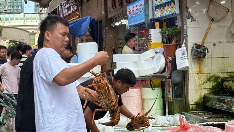 广州黄沙水产交易市场本月搬迁？记者实探