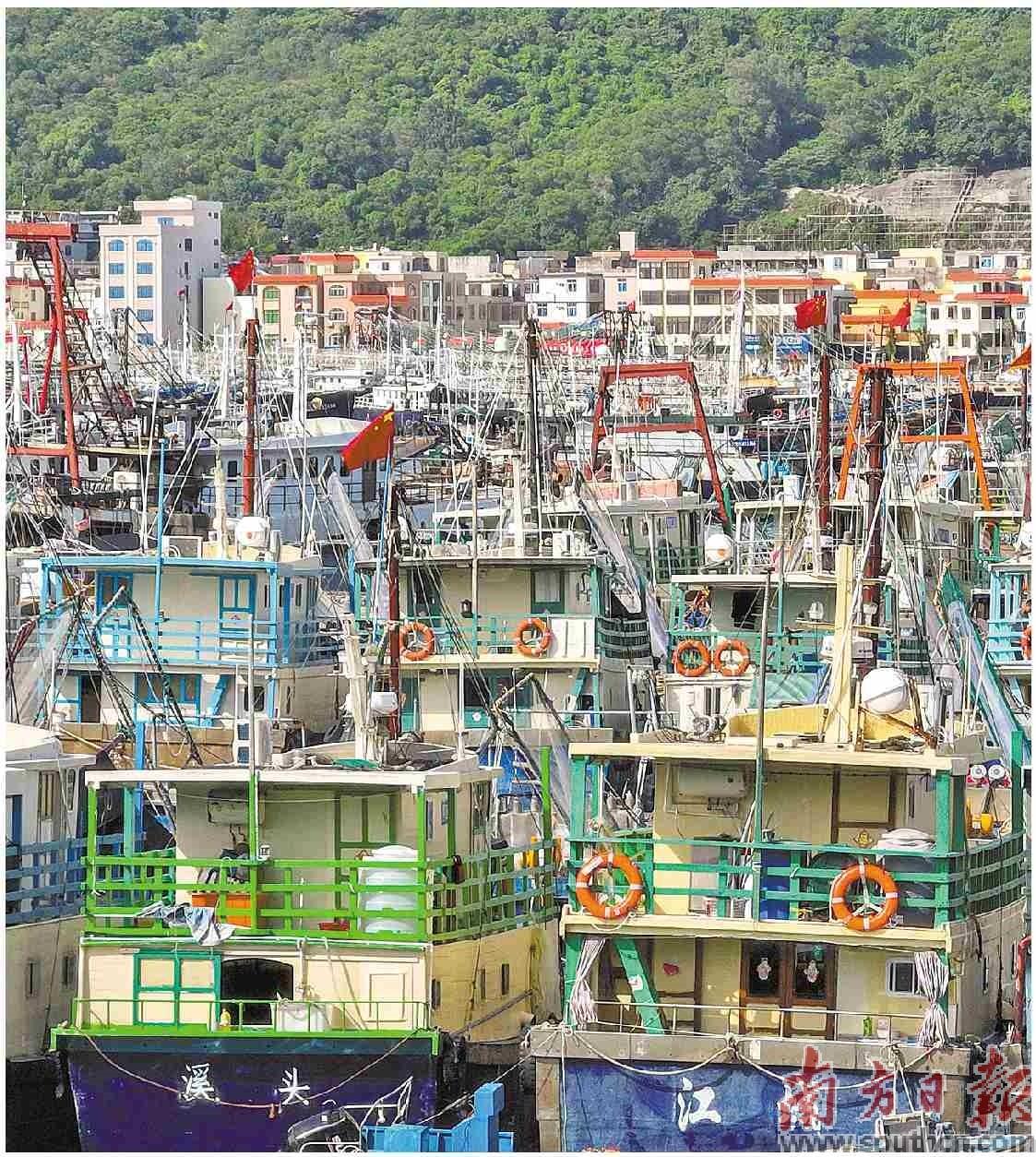 8月15日,第二十三届南海(阳江)开渔季前夕,在阳江闸坡国家级中心渔港内,一艘艘渔船整装待发。