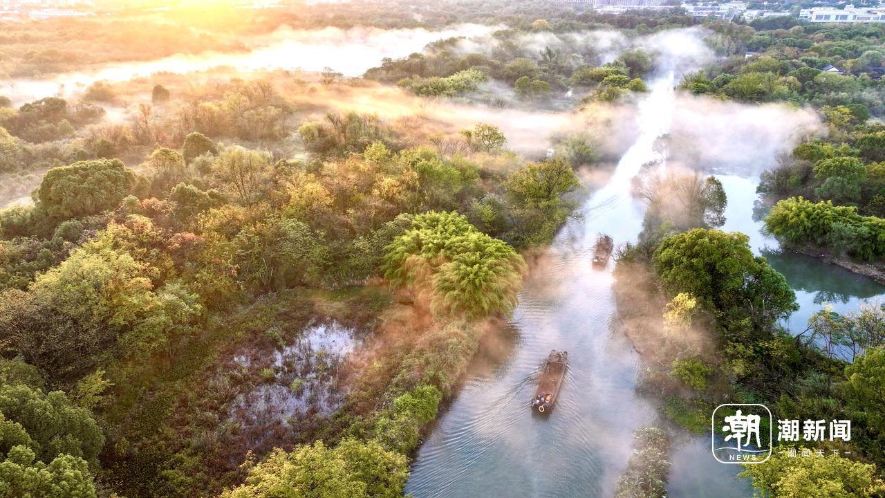 杭州西溪湿地公园。记者 梁臻 摄