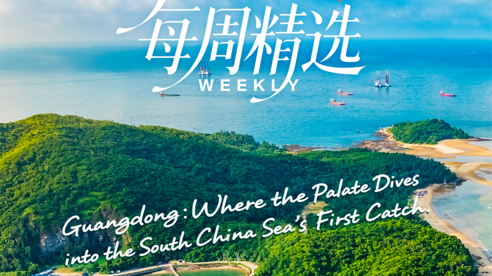 Weekly Highlights | In Guangdong, first catch from South China Sea dances on tongue
