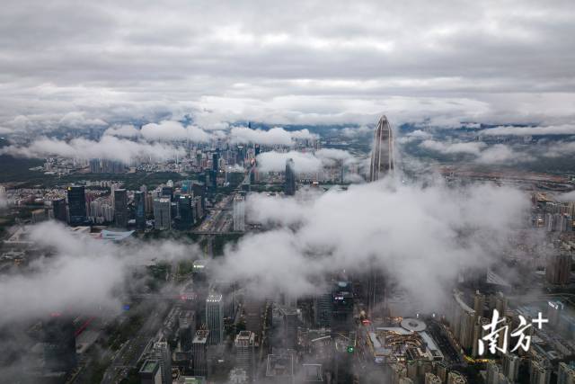 1月22日傍晚，深圳上空云雾缭绕，迎来新年第一个平流雾美景。南方拍客  请叫我小超人 摄  