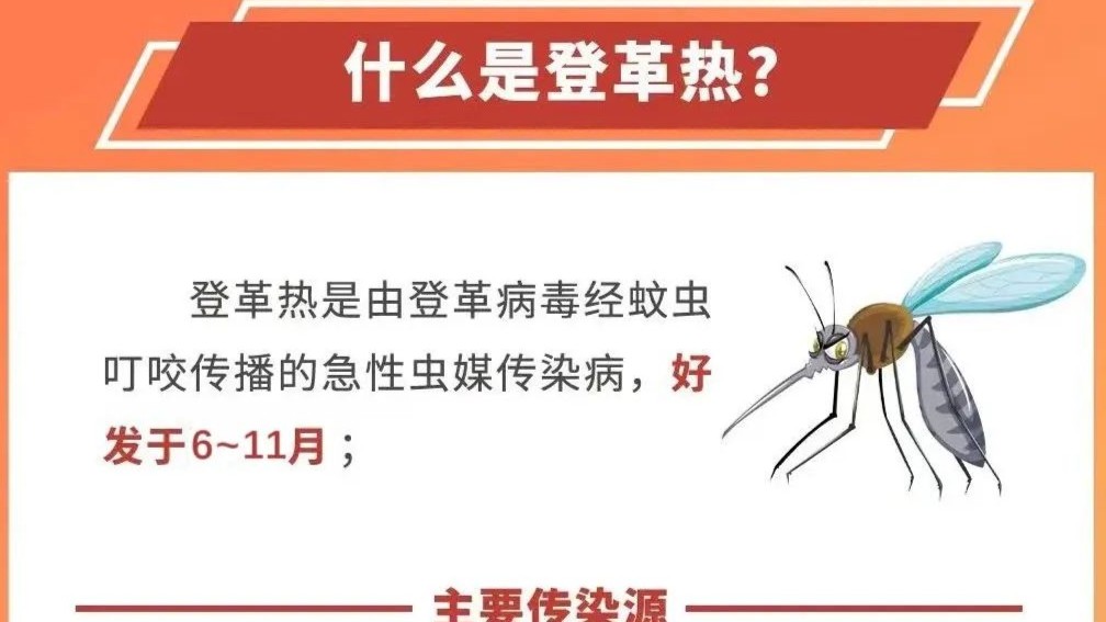 哪些人群易感染登革热？这些要点要牢记→
