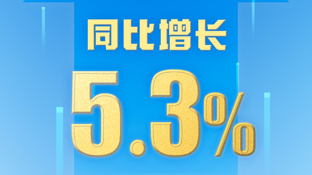 上半年国内生产总值660536亿元 同比增长5.3%