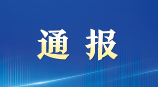 幼儿园老师被指拉小朋友互撞，增城教育局通报：已辞退