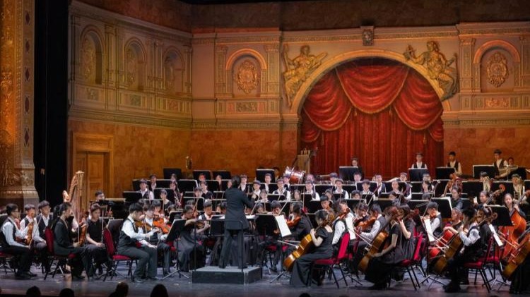 Chinese orchestra holds concert to celebrate China-Hungary relations