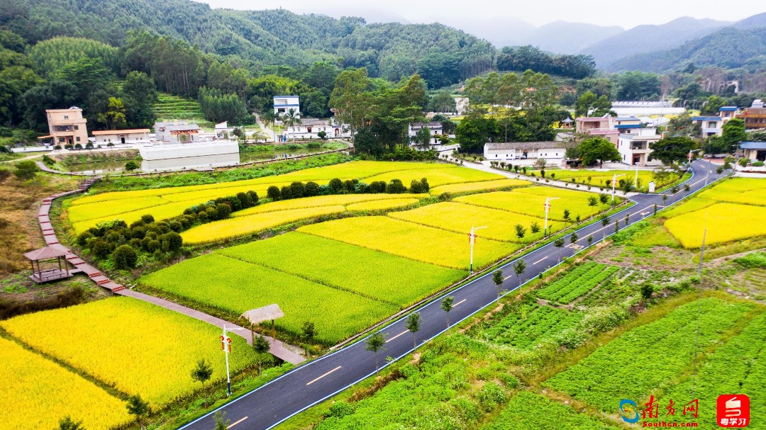 重塑“造血”，村民“錢(qián)袋子”鼓起來(lái)了｜新改革 興農(nóng)村