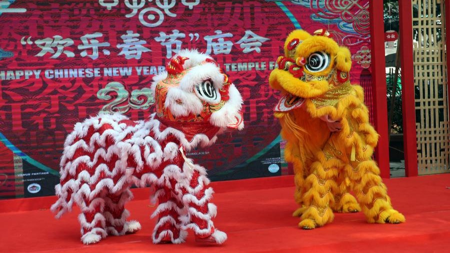 Bangladeshi people taste charm of Chinese Spring Festival