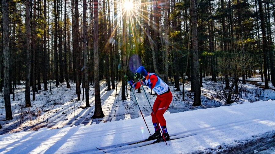 Researchers reveal link between physical activity and longevity, aging