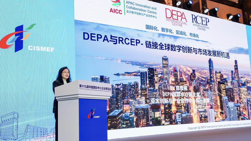 Flexible and inclusive DEPA will be beneficial to SMEs in China, Singaporean expert