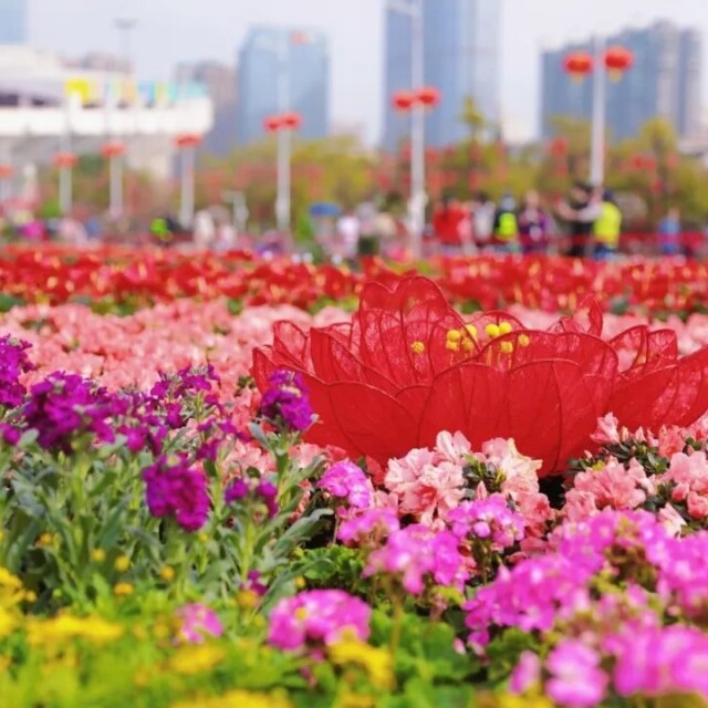 Guangzhou's Tianhe Flower Fair moves to a new location for 2025 Spring Festival