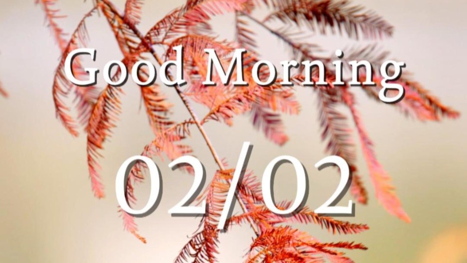 Lakeside crimson bald cypresses paint scenes of beauty