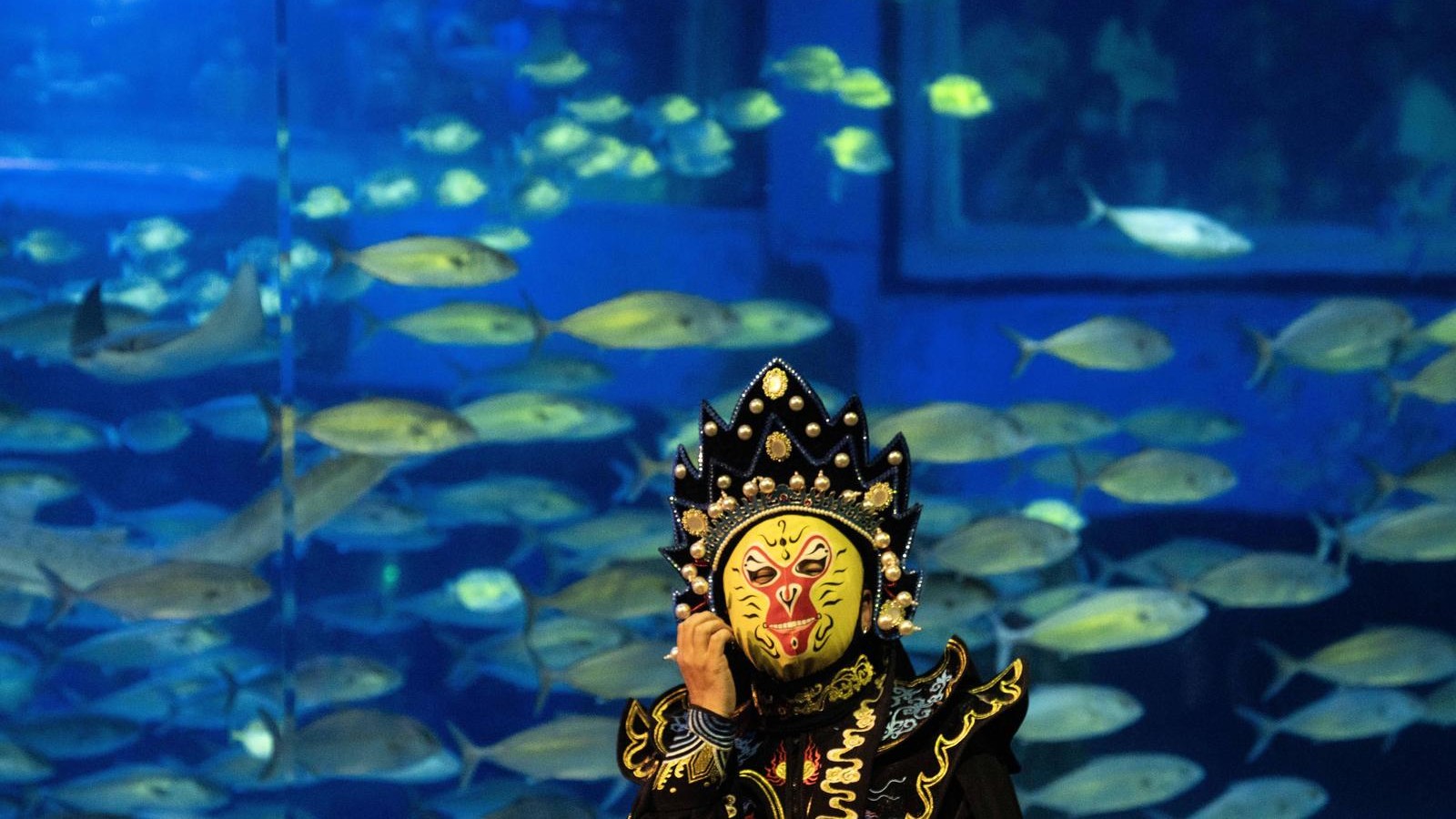 Enjoy a spectacular underwater Chinese cultural performance in Guangzhou