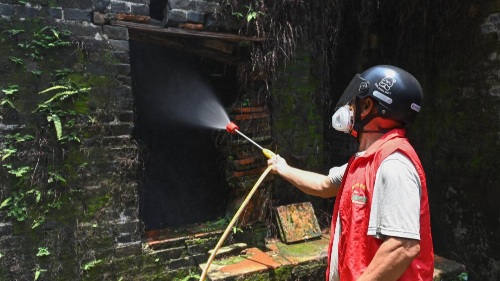 Foshan in China's Guangdong launches campaign to decrease mosquitoes