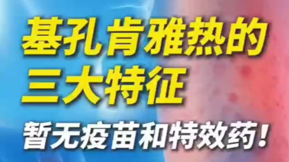 基孔肯雅热的三大特征！暂无疫苗和特效药！防控手册收好→