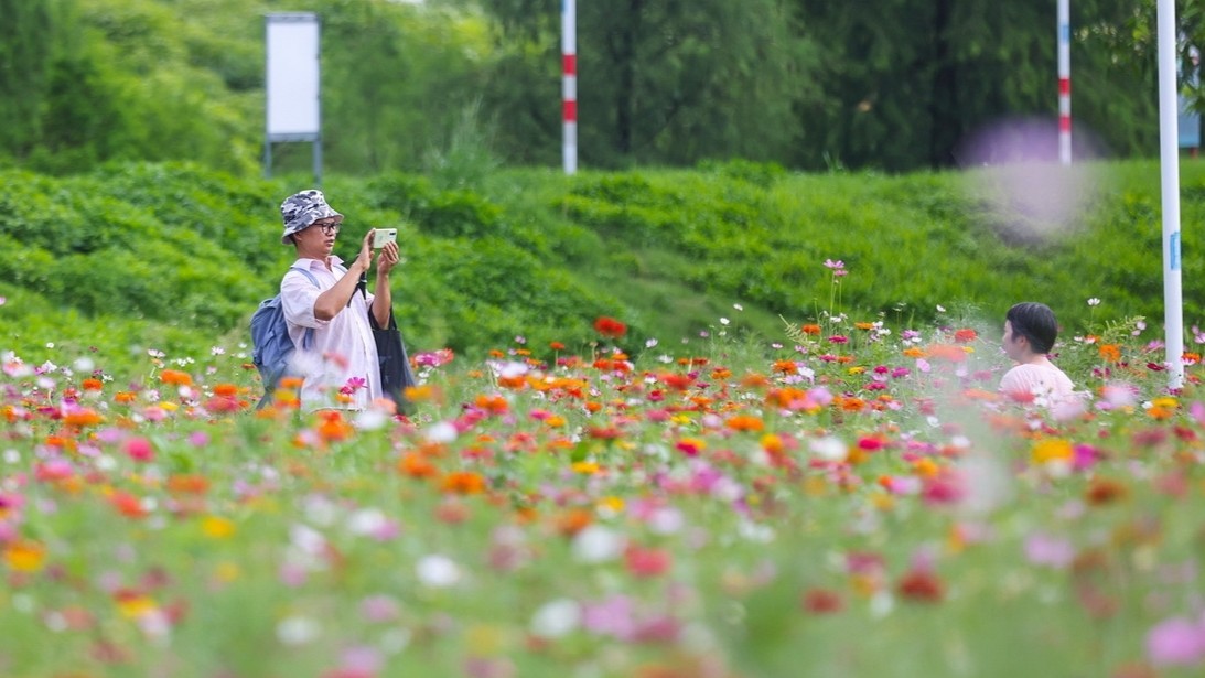 Step into "Monet's Garden" in Zhongshan