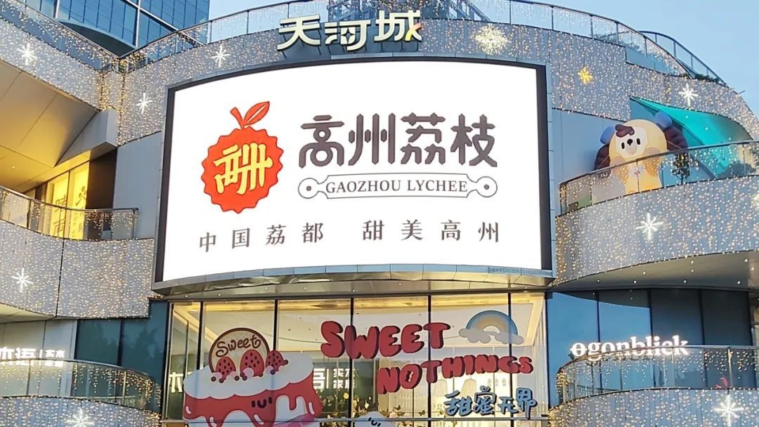 以“荔”为媒，粤海控股集团多措并举助力高州“甜蜜经济”发展